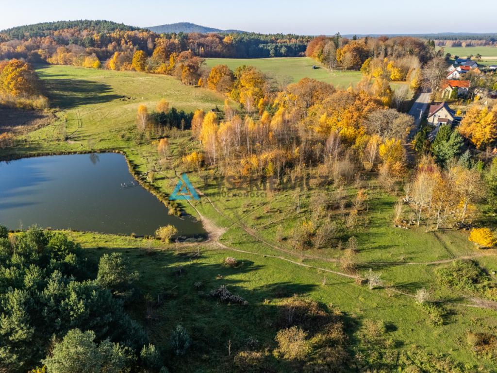 Majestatyczna działka marzeń nad rozlewiskiem! - zdjęcie 10