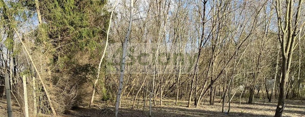 Działka budowlana 1800 m², Magdalenka - zdjęcie 3