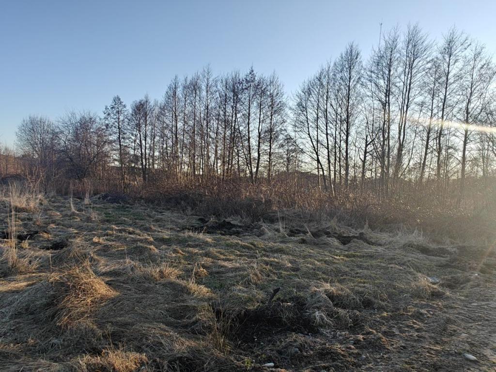 Sprzedam działkę w Lubiatowie w spokojnej okolicy - zdjęcie 5