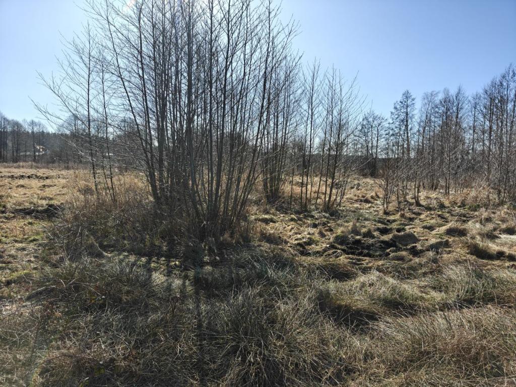 Sprzedam działkę w Lubiatowie w spokojnej okolicy - zdjęcie 7