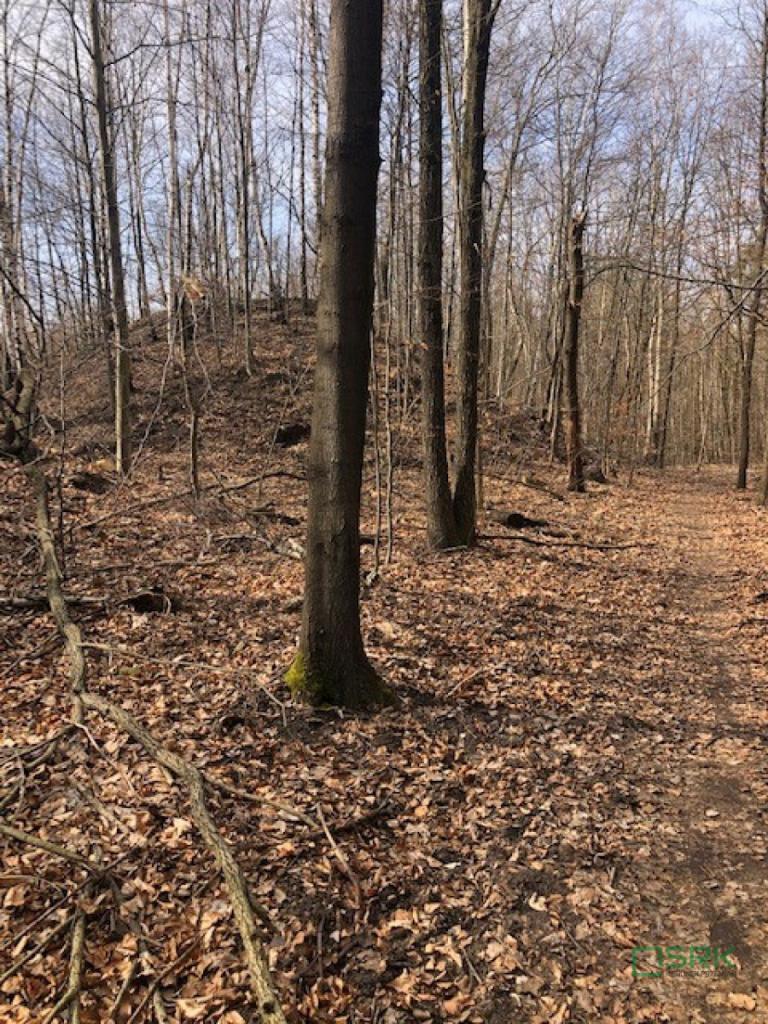 Działka inwestycyjna 4,44&nbsp;ha, Katowice, Goetla - zdjęcie 4