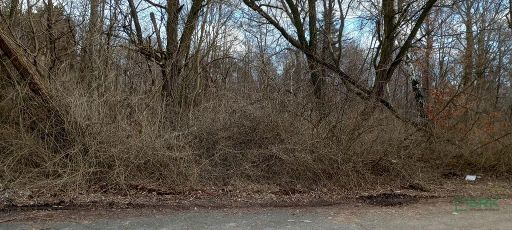 Działka inwestycyjna 4,44&nbsp;ha, Katowice, Goetla - zdjęcie 1