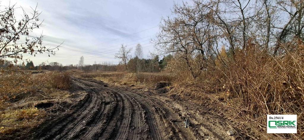 Działka inwestycyjna 6301 m², Sosnowiec, Grenadierów - zdjęcie 5