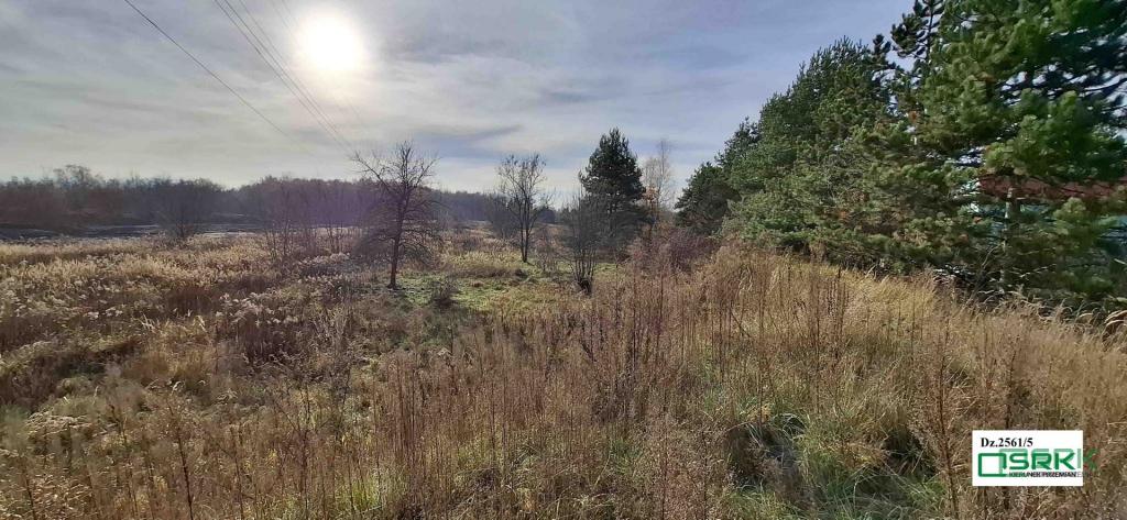 Działka inwestycyjna 6301 m², Sosnowiec, Grenadierów - zdjęcie 7