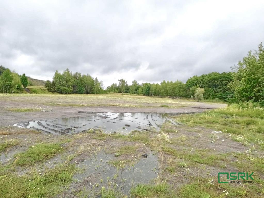 Działka inwestycyjna 16,88 ha, Katowice, T. Boya Żeleńskiego - zdjęcie 9