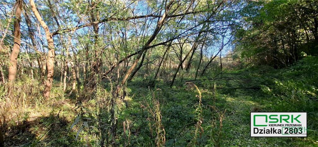 Działka inwestycyjna 5070 m², Sosnowiec, Baczyńskiego - zdjęcie 7