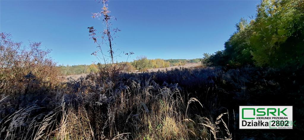 Działka inwestycyjna 5070 m², Sosnowiec, Baczyńskiego - zdjęcie 4