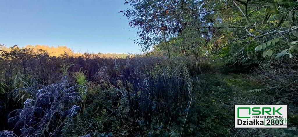 Działka inwestycyjna 5070 m², Sosnowiec, Baczyńskiego - zdjęcie 6