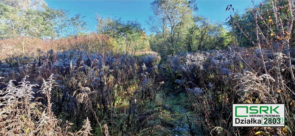 Działka inwestycyjna 5070 m², Sosnowiec, Baczyńskiego - zdjęcie 9