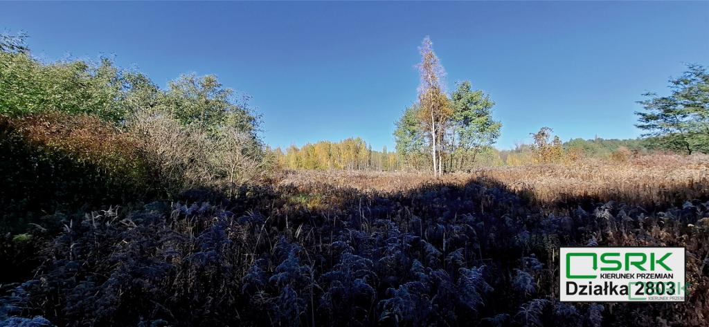 Działka inwestycyjna 5070 m², Sosnowiec, Baczyńskiego - zdjęcie 8