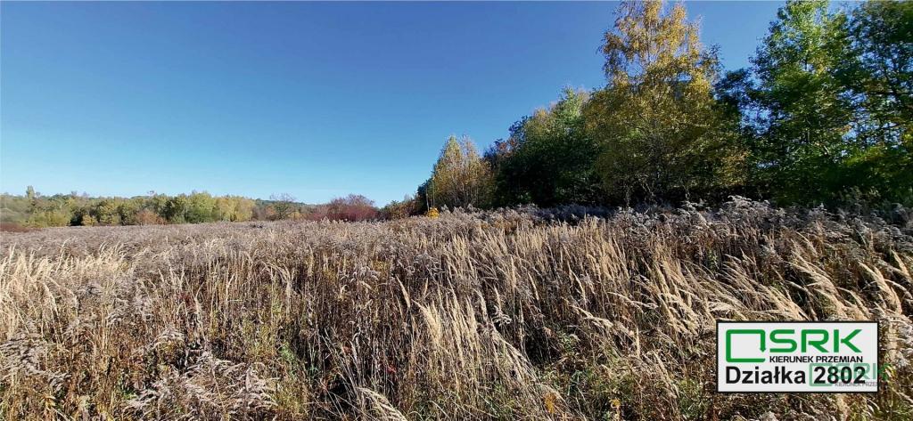 Działka inwestycyjna 5070 m², Sosnowiec, Baczyńskiego - zdjęcie 2