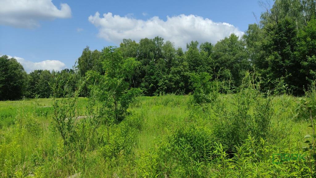 Działka inwestycyjna 5,96 ha, Katowice, Mysłowicka - zdjęcie 8