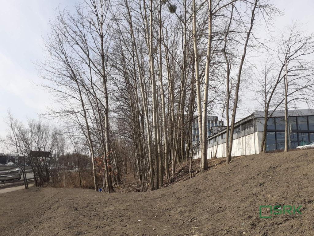 Działka inwestycyjna 3546 m², Katowice, Bohaterów Monte Cassino - zdjęcie 3