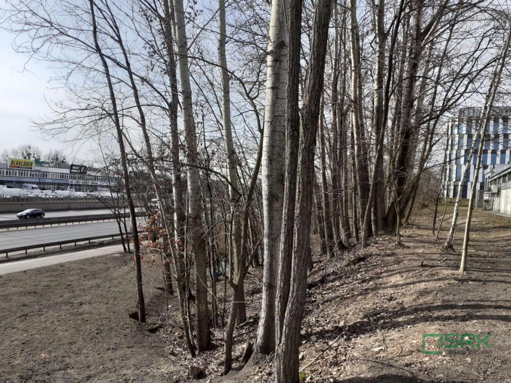 Działka inwestycyjna 3546 m², Katowice, Bohaterów Monte Cassino - zdjęcie 9