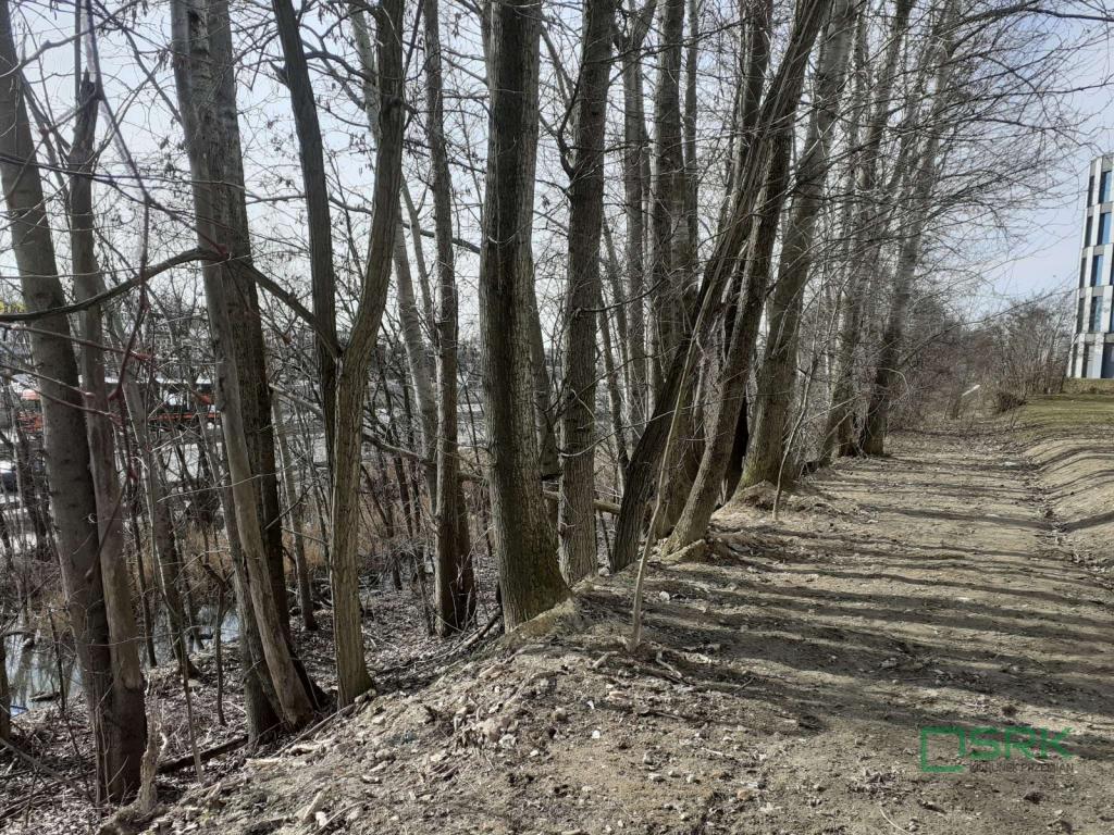 Działka inwestycyjna 3546 m², Katowice, Bohaterów Monte Cassino - zdjęcie 4