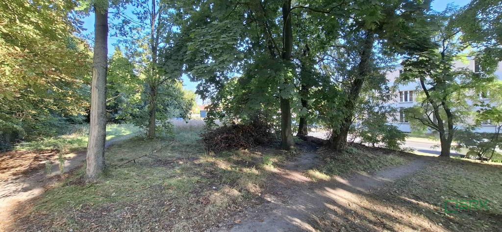 Działka inwestycyjna 3589 m², Sosnowiec, Kraszewskiego - zdjęcie 5