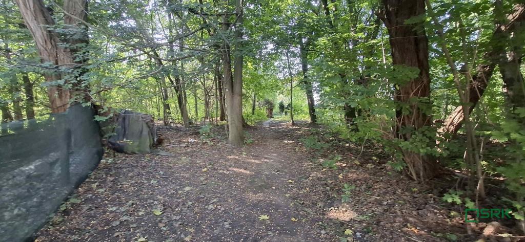 Działka inwestycyjna 9748 m², Sosnowiec, Dobrzańskiego - zdjęcie 3