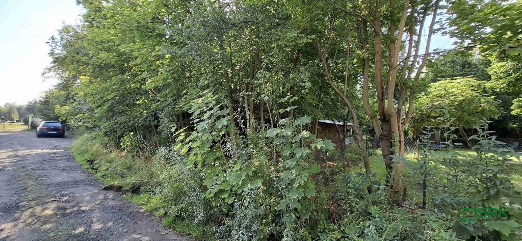 Działka inwestycyjna 9748 m², Sosnowiec, Dobrzańskiego - zdjęcie 7