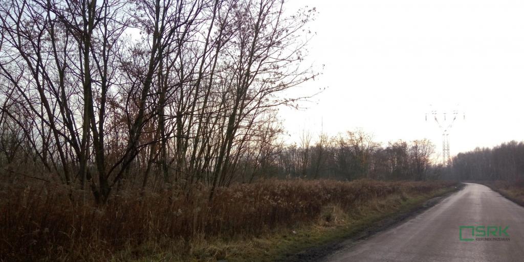 Działka inwestycyjna 19,80 ha, Sosnowiec, Minerów i Grenadierów - zdjęcie 6