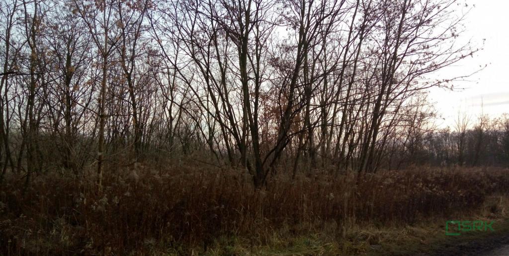 Działka inwestycyjna 19,80 ha, Sosnowiec, Minerów i Grenadierów - zdjęcie 4