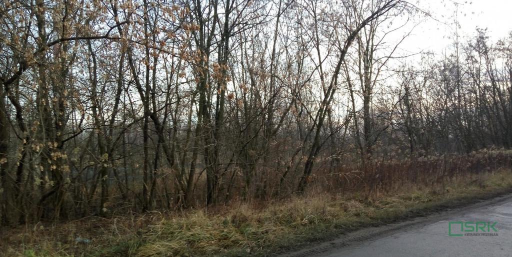 Działka inwestycyjna 19,80 ha, Sosnowiec, Minerów i Grenadierów - zdjęcie 5