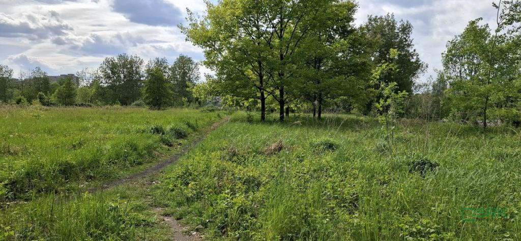 Działka inwestycyjna 3,38 ha, Sosnowiec, Lenartowicza - zdjęcie 10