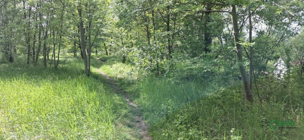 Działka inwestycyjna 3,38 ha, Sosnowiec, Lenartowicza - zdjęcie 9