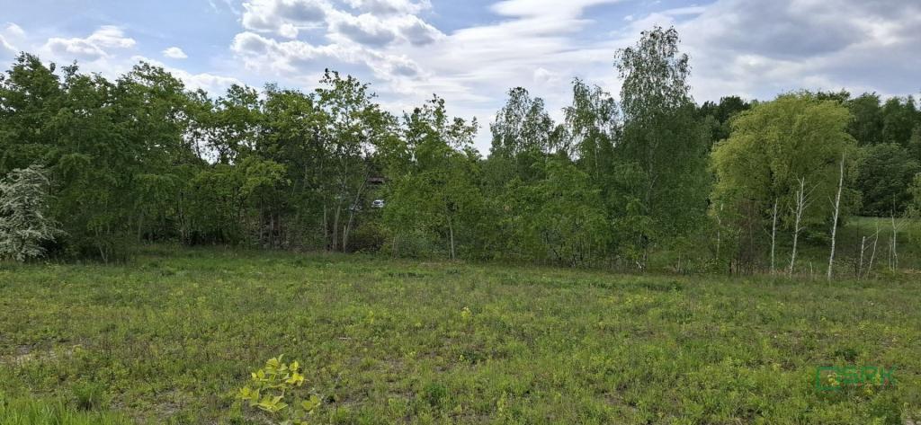 Działka inwestycyjna 3,38 ha, Sosnowiec, Lenartowicza - zdjęcie 4