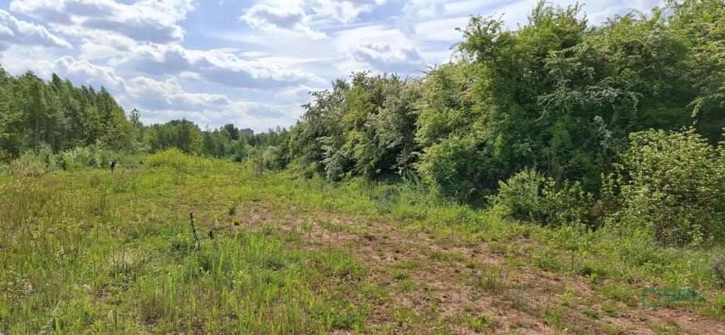 Działka inwestycyjna 3,38 ha, Sosnowiec, Lenartowicza - zdjęcie 6
