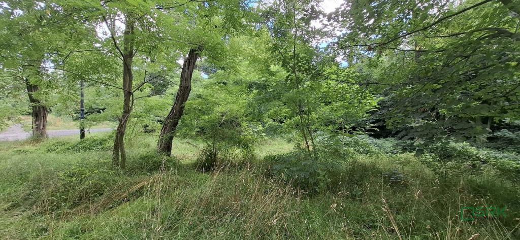 Działka inwestycyjna 5290 m², Sosnowiec, Śliwki - zdjęcie 8
