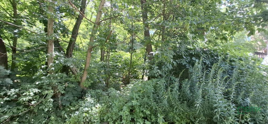 Działka inwestycyjna 5290 m², Sosnowiec, Śliwki - zdjęcie 5