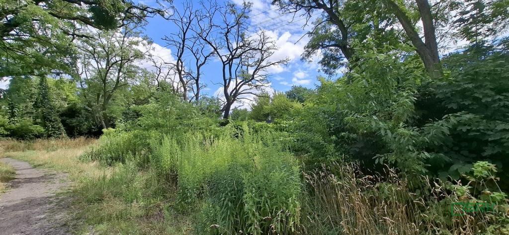Działka inwestycyjna 5290 m², Sosnowiec, Śliwki - zdjęcie 7