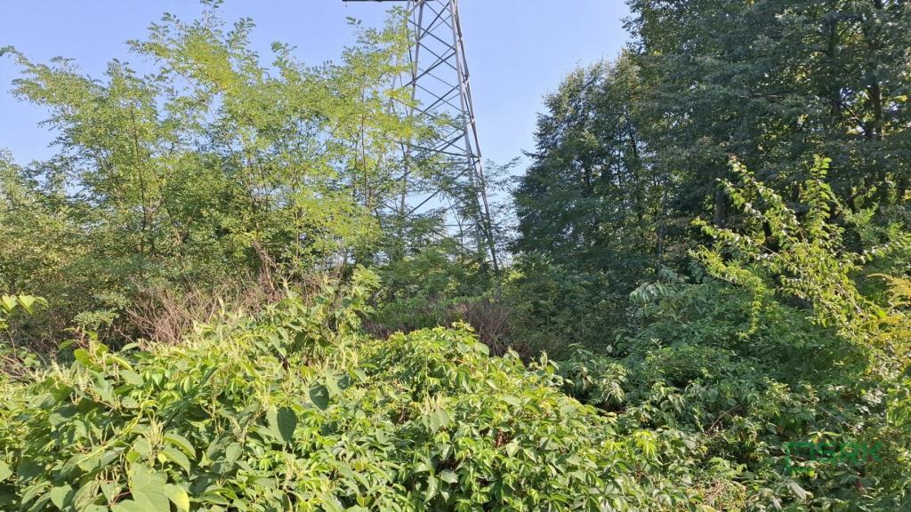 Działka inwestycyjna 2,38 ha, Sosnowiec, Wojska Polskiego - zdjęcie 8
