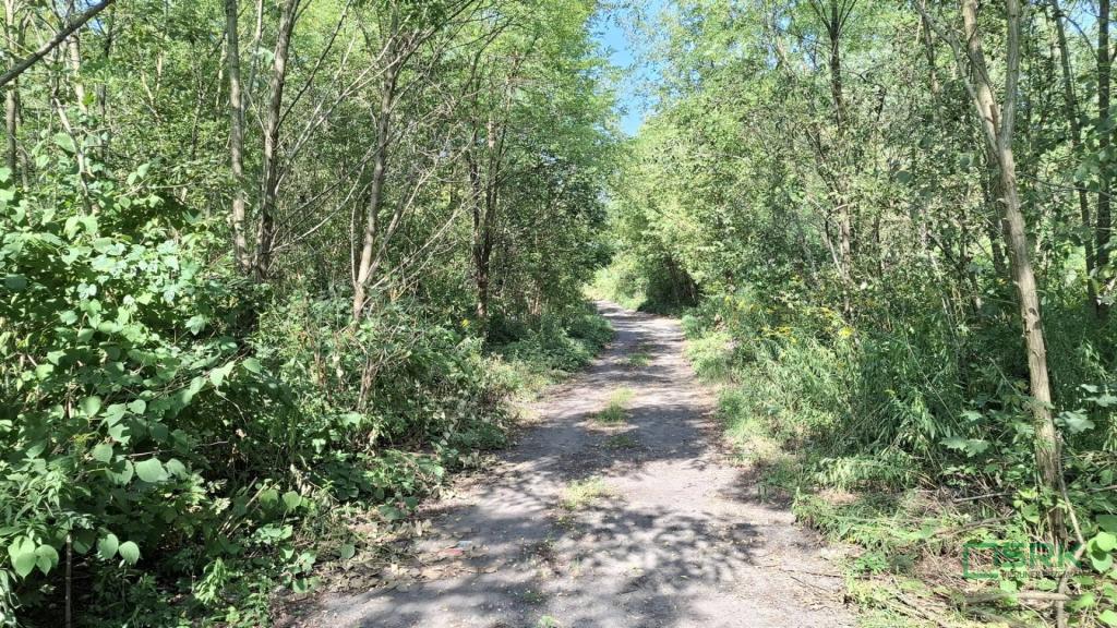 Działka inwestycyjna 2,38 ha, Sosnowiec, Wojska Polskiego - zdjęcie 7