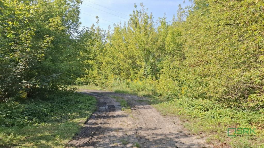 Działka inwestycyjna 2,38 ha, Sosnowiec, Wojska Polskiego - zdjęcie 6