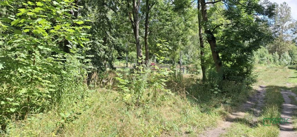 Działka inwestycyjna 1,13 ha, Sosnowiec, Okulickiego - zdjęcie 10