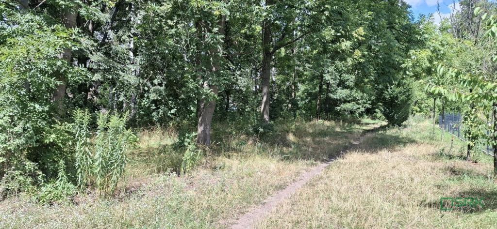Działka inwestycyjna 1,13 ha, Sosnowiec, Okulickiego - zdjęcie 12