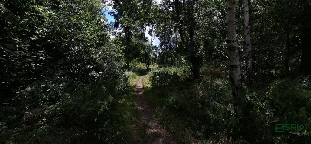 Działka inwestycyjna 1,13 ha, Sosnowiec, Okulickiego - zdjęcie 4