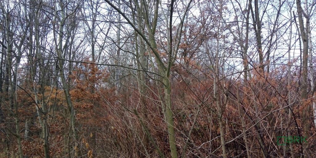 Działka inwestycyjna 1,91&nbsp;ha, Katowice, Upadowa - zdjęcie 5
