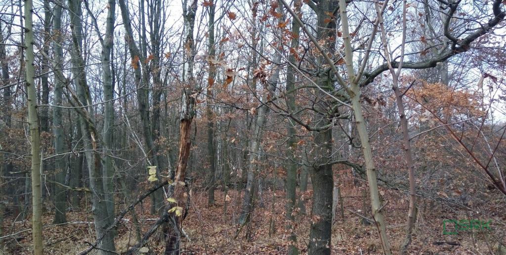 Działka inwestycyjna 1,91&nbsp;ha, Katowice, Upadowa - zdjęcie 3