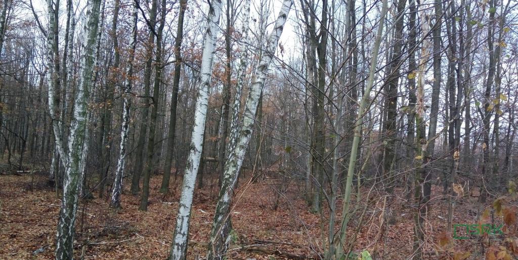 Działka inwestycyjna 1,91&nbsp;ha, Katowice, Upadowa - zdjęcie 4