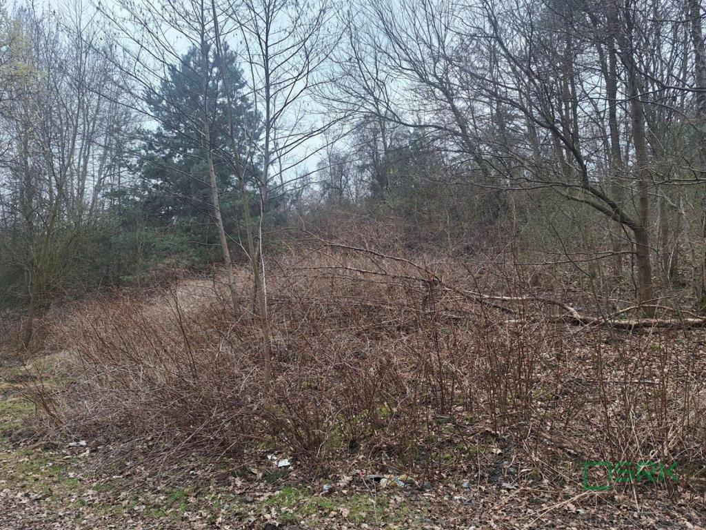 Działka inwestycyjna 3589&nbsp;m², Świerklany, Świerklańska - zdjęcie 7