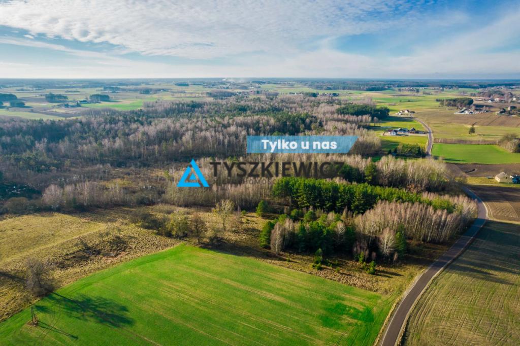 Imponująca Działka w sercu Borów Tucholskich - zdjęcie 1
