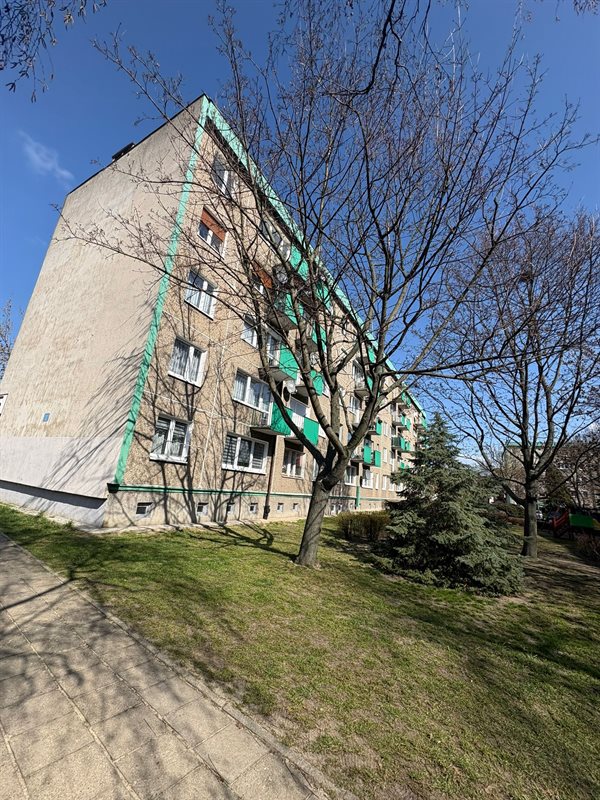 Mieszkanie 59 m², Gostyń, Wojska Polskiego - zdjęcie 14