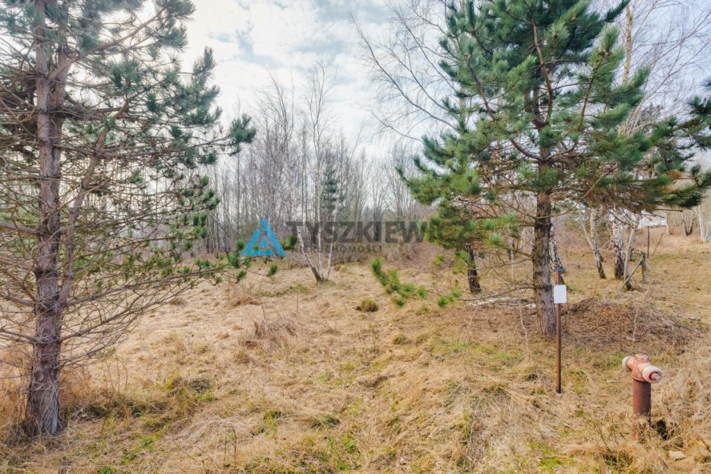 Malownicza działka budowlana w Kielnie | 1845 m2 - zdjęcie 12
