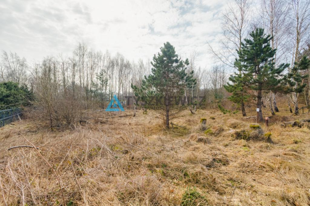Malownicza działka budowlana w Kielnie | 1845 m2 - zdjęcie 10