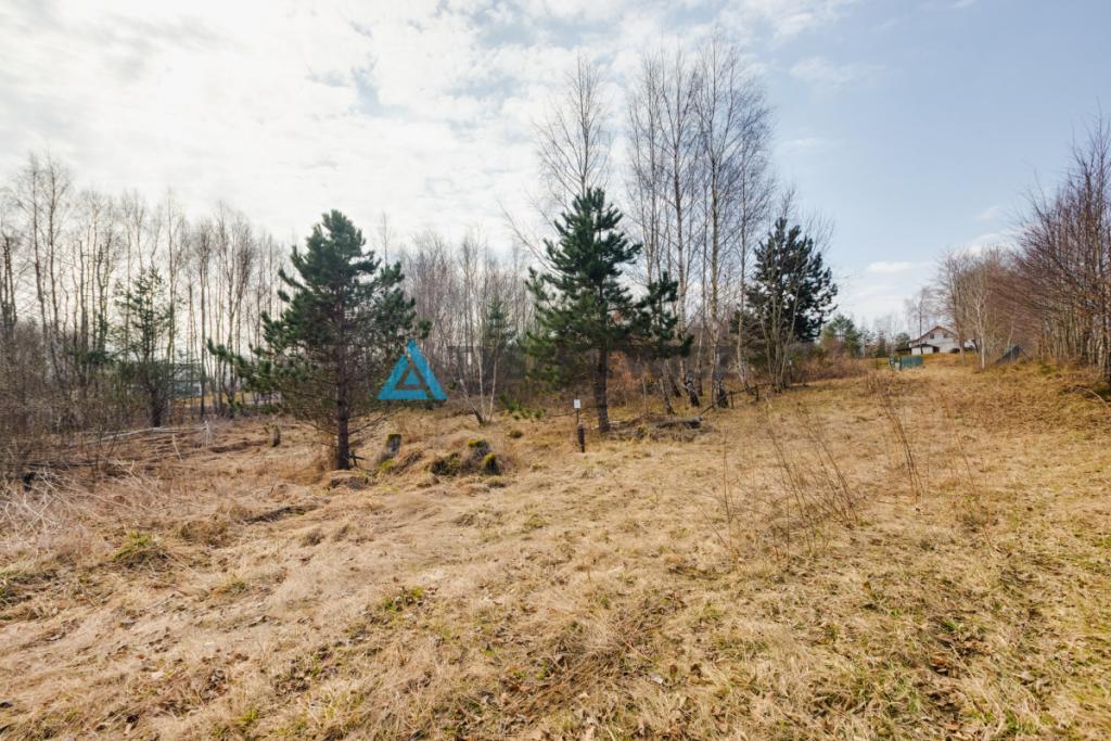 Malownicza działka budowlana w Kielnie | 1845 m2 - zdjęcie 11