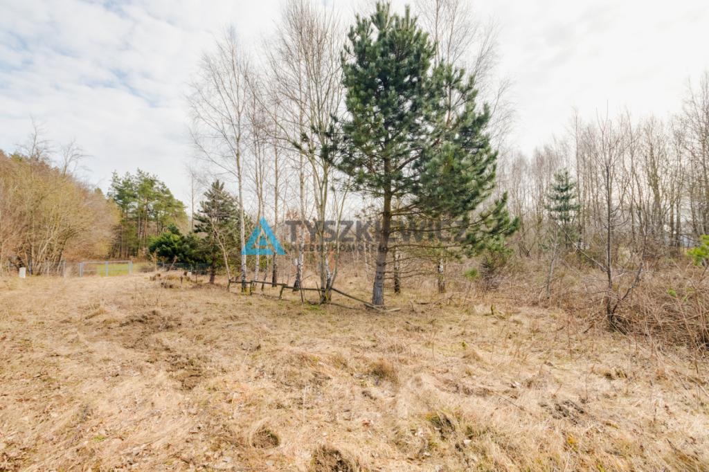 Malownicza działka budowlana w Kielnie | 1845 m2 - zdjęcie 8