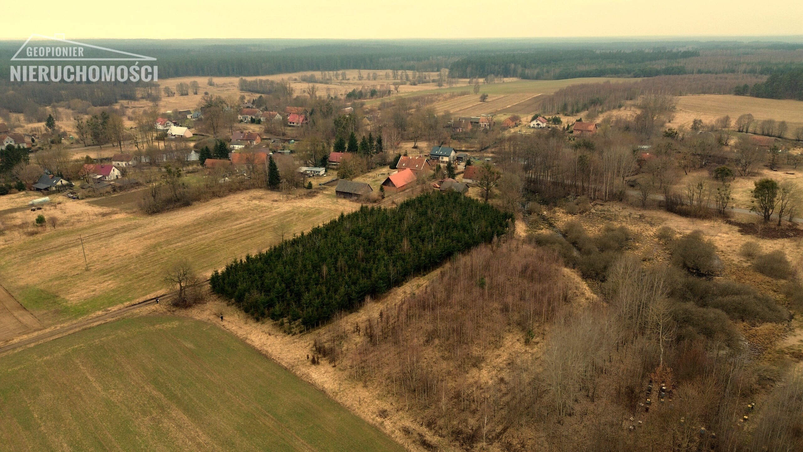 Siedlisko - Boguszewo gmina Miłomłyn, powiat ostródzki, na skraju wsi zabudowana działka gruntu o pow. 1,1754 ha - zdjęcie 6