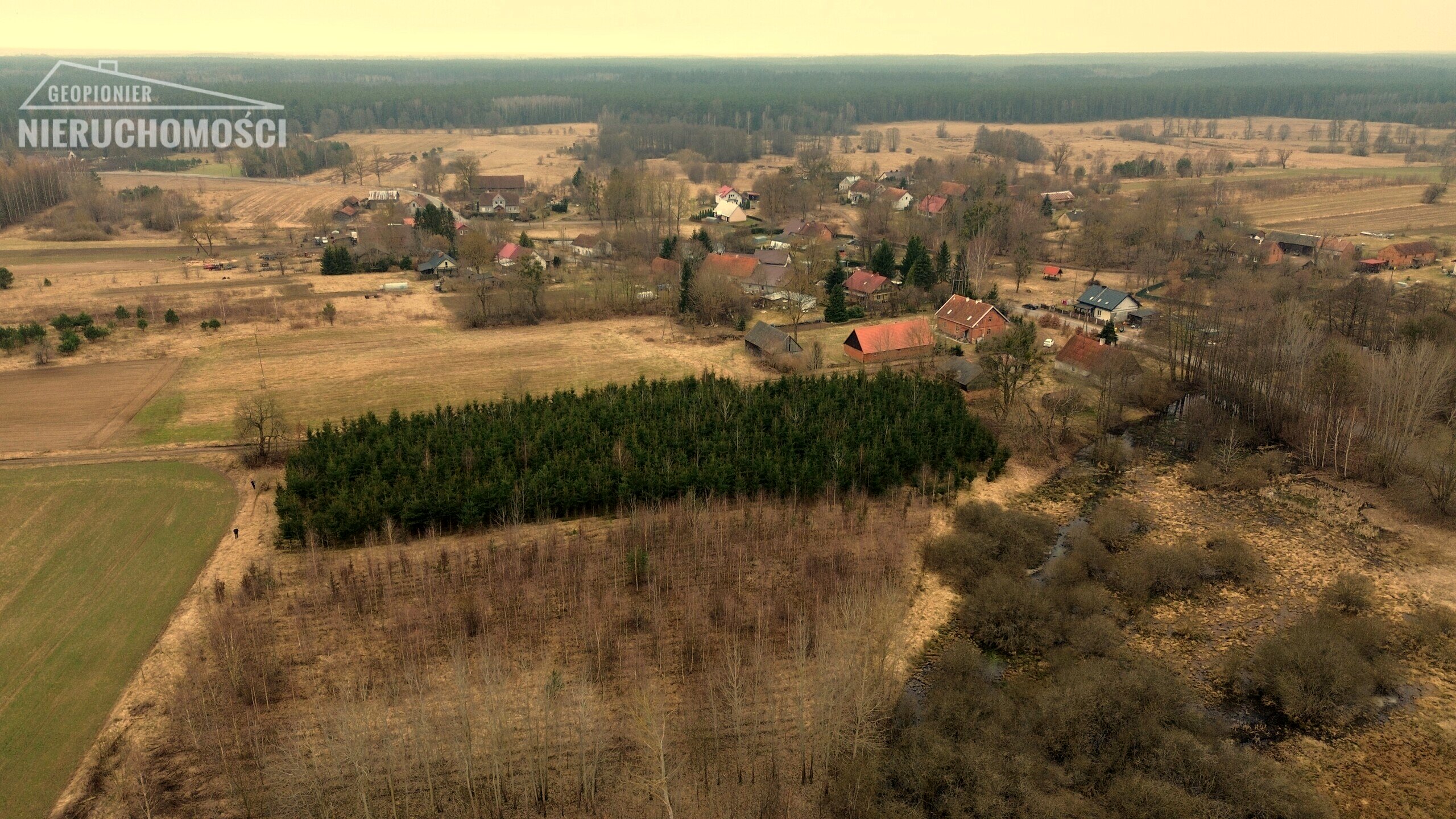 Siedlisko - Boguszewo gmina Miłomłyn, powiat ostródzki, na skraju wsi zabudowana działka gruntu o pow. 1,1754 ha - zdjęcie 8